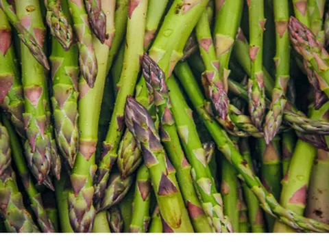 Asperges vertes