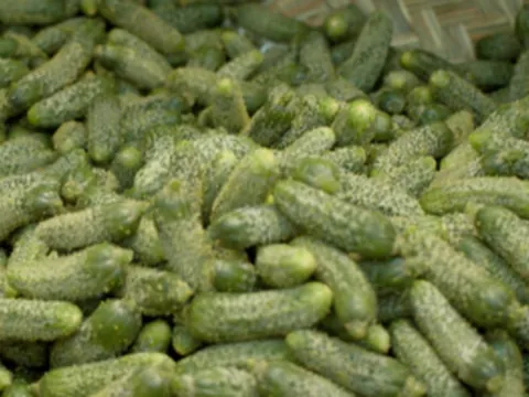 Cornichons